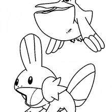 Mudkip and Pelipper - Coloring page - MANGA coloring pages - POKEMON coloring pages