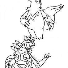 Pokemon 31