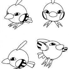 Pokemon 40