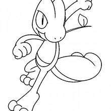 Treecko pokemon