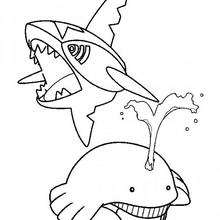 Wailmer and Sharpedo pokemon - Coloring page - MANGA coloring pages - POKEMON coloring pages