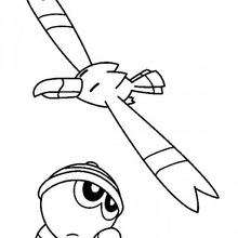 Wingull and seedot pokemon - Coloring page - MANGA coloring pages - POKEMON coloring pages