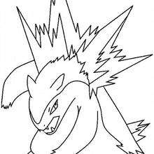Pokemon 70