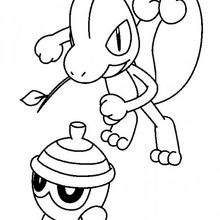 Treecko and Seedot - Coloring - Cartoon Characters Coloring Pages - Pokemon coloring pages