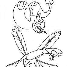 Tropius and seviper pok�mon - Coloring - Cartoon Characters Coloring Pages - Pokemon coloring pages