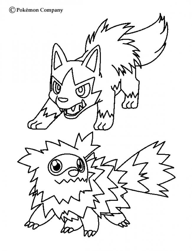 zigzagoon and mightyena coloring pages hellokids com coloriage koala