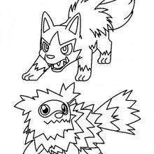 Zigzagoon and Mightyena pok�mon - Coloring - Cartoon Characters Coloring Pages - Pokemon coloring pages