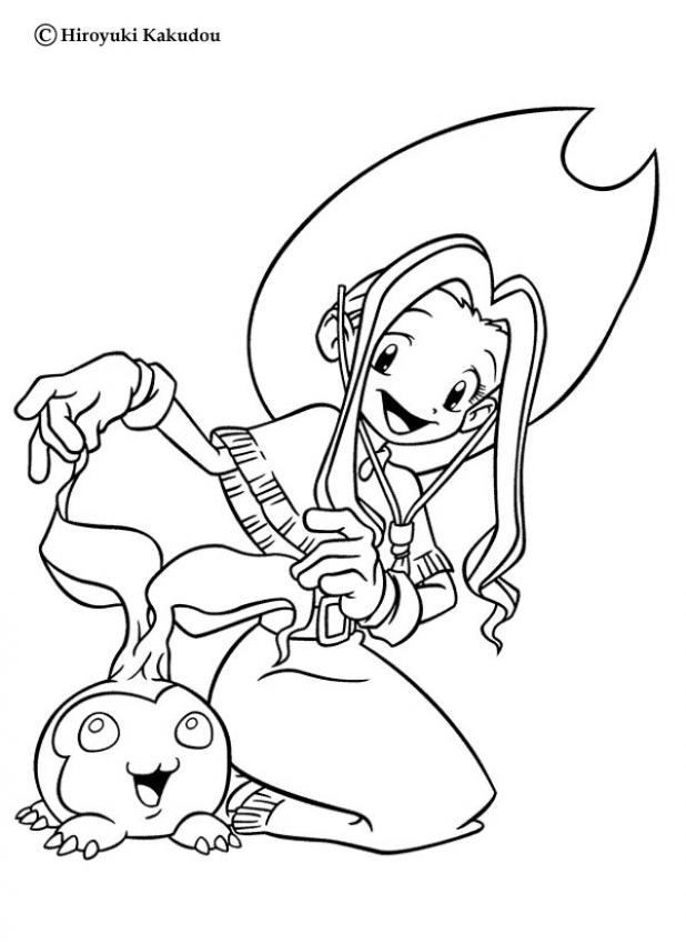 digimon-n-29