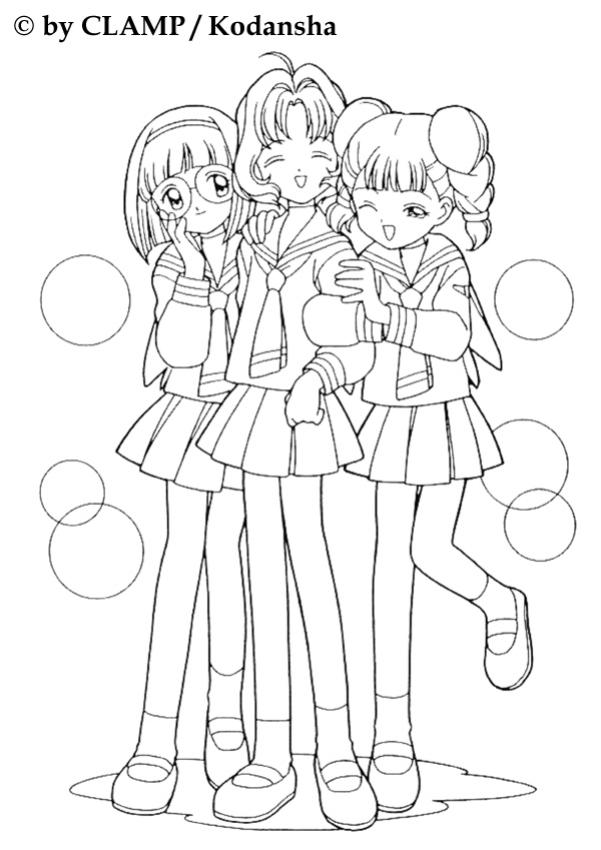 sakura-n-24