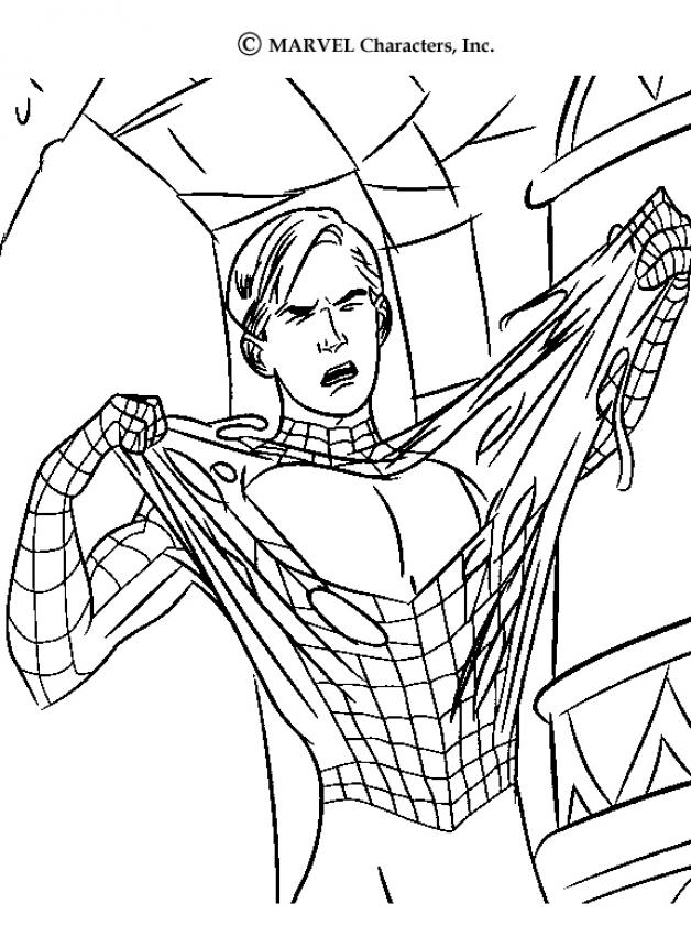 spiderman-n-23