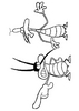 Dee Dee and Marky, the cockroaches - Coloring - CARTOON CHARACTERS Coloring Pages - OGGY AND THE COCKROACHES coloring pages