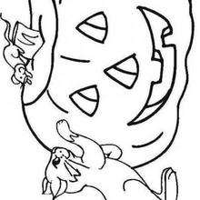 Halloween pumpkin and cats - Coloring page - HOLIDAY coloring pages - HALLOWEEN coloring pages - HALLOWEEN PUMPKIN coloring pages