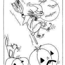 Halloween Witch on the broom - Coloring - Holiday coloring pages - Halloween coloring pages - Halloween Witch coloring pages
