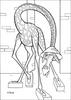 Melman the giraffe - Coloring - Cartoon Characters Coloring Pages - Madagascar coloring book pages
