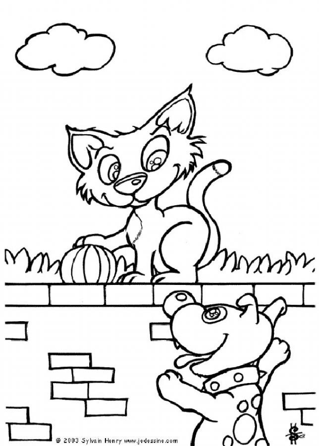 cat_on_the_wall