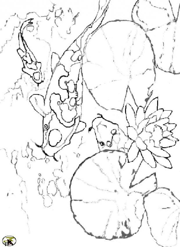 fishes_in_the_nenuphars