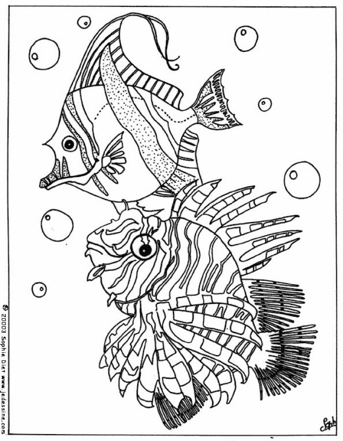 Tropical fishes coloring pages - Hellokids.com