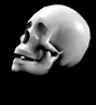 halloween_skeleton_skull08