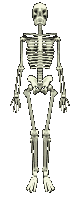 halloween_skeleton_skull18