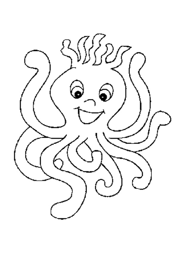 octopus