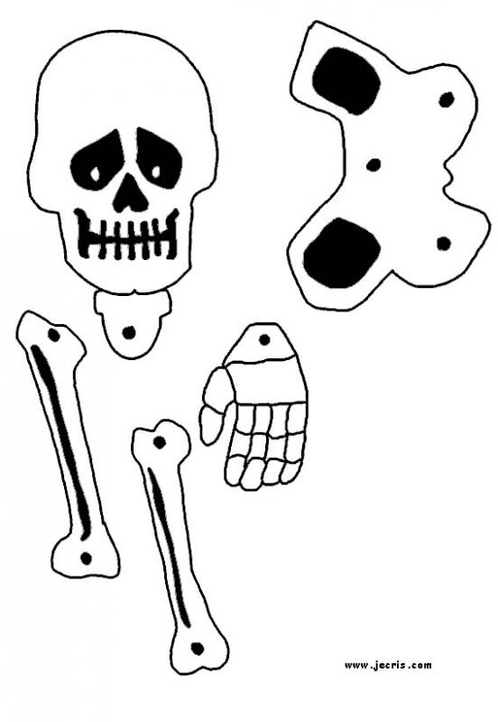 skeleton_decoration_skull