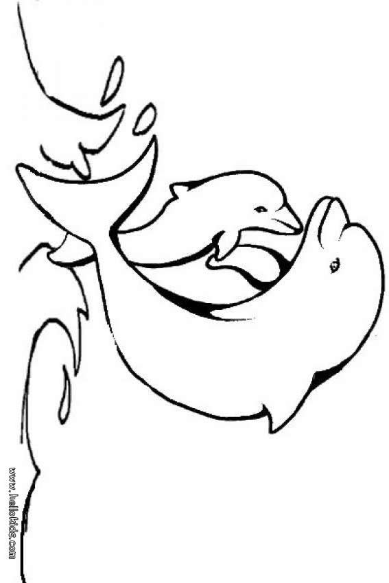 mama and baby dolphin coloring pages - photo #21