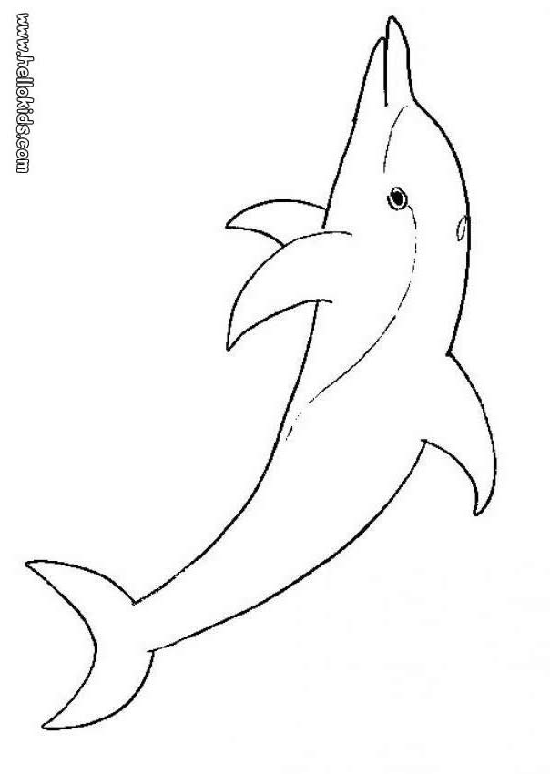 e coloring pages for dolphins - photo #43