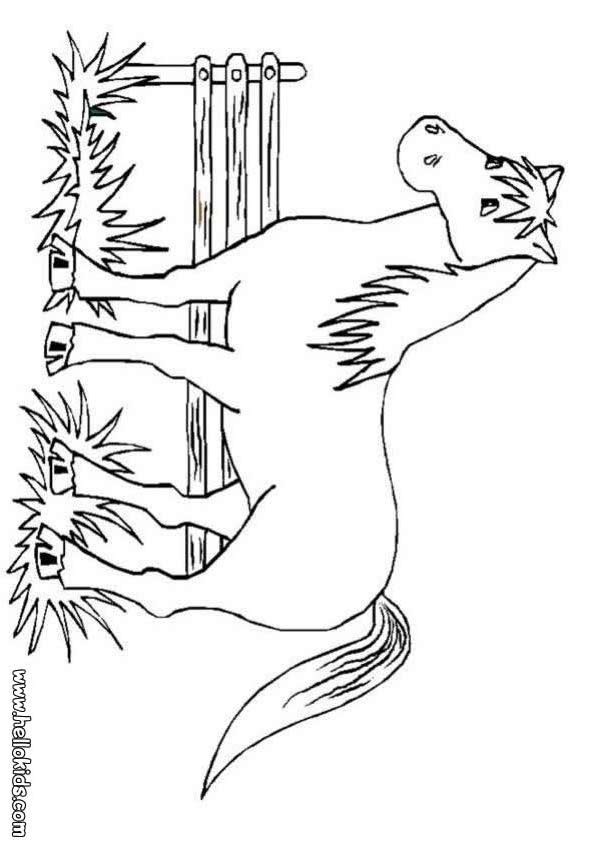realistic horse coloring pages. Horse Coloring Page: A horse