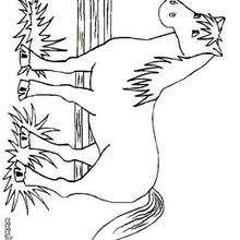 Big horse coloring picture - Coloring - ANIMAL coloring pages - FARM ANIMAL coloring pages - HORSE coloring pages