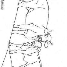 Calf with mother Cow coloring page