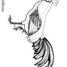 Cock coloring page