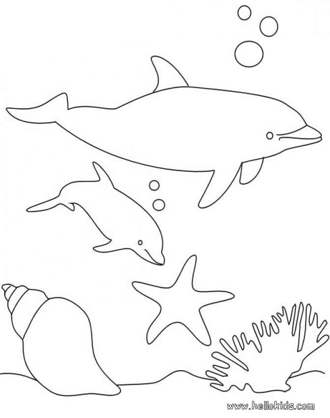 Gallery For gt; Coloring Page Dolphin
