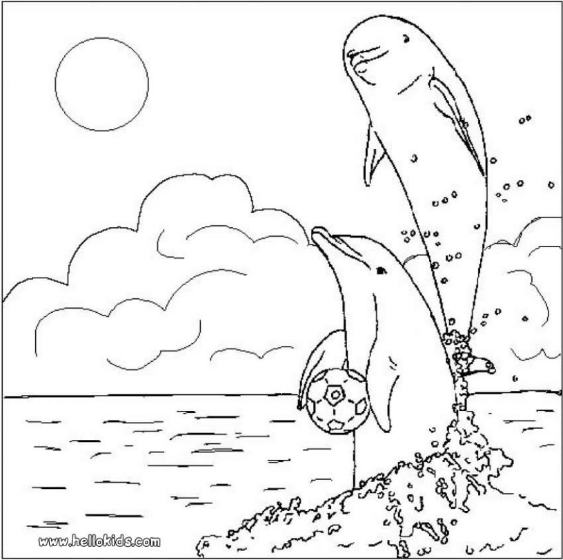 dolphins_in_love_coloring