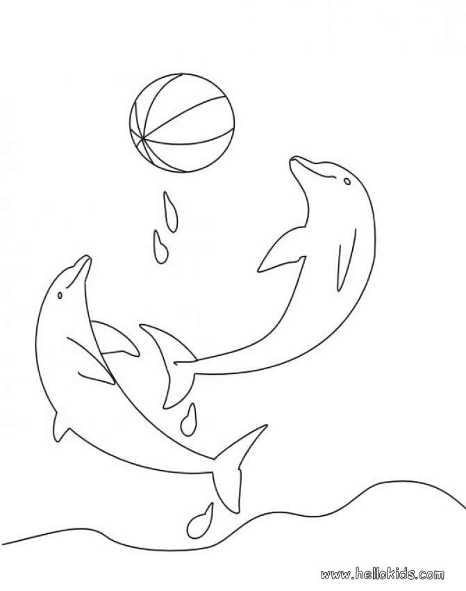 dolphins_playing_with_balloon