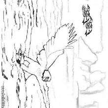 Eagle coloring page - Coloring - Animal coloring pages - Bird coloring pages