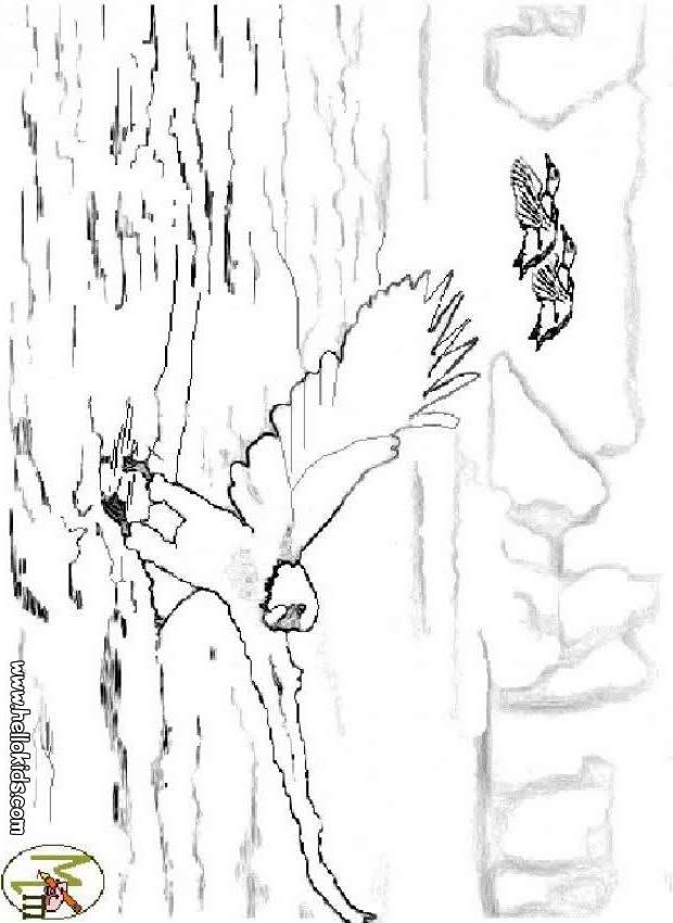 eagle_coloring_page
