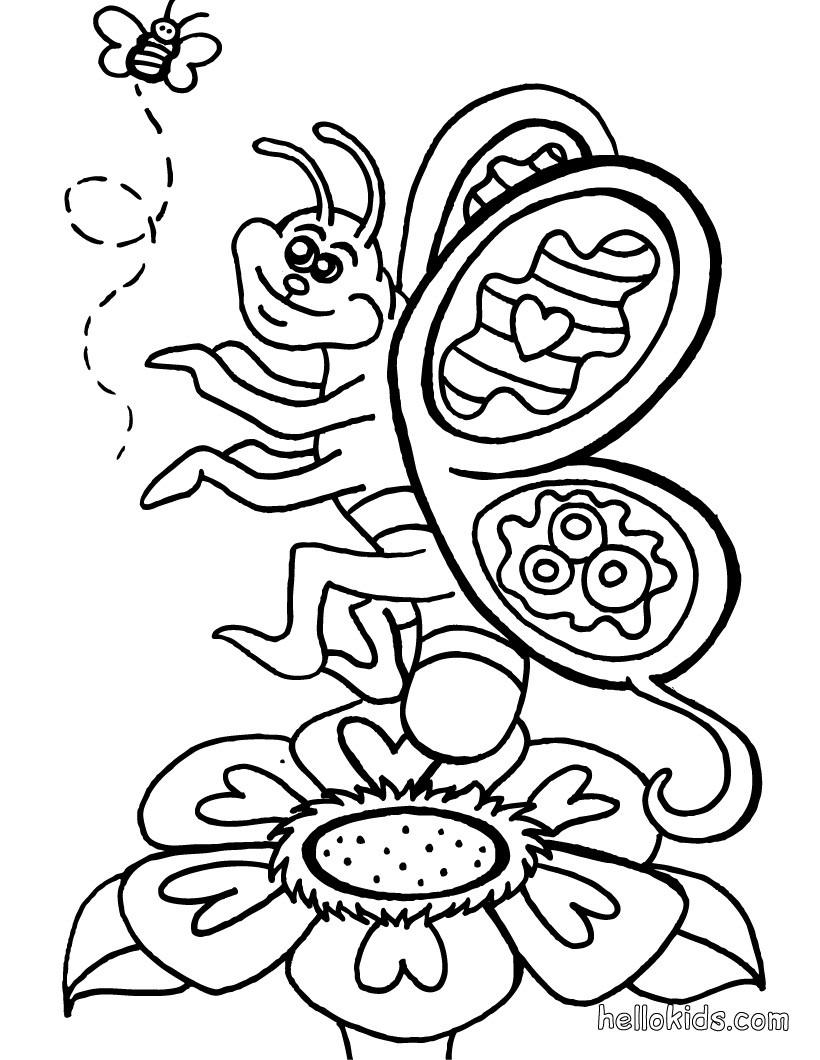 fun_butterfly