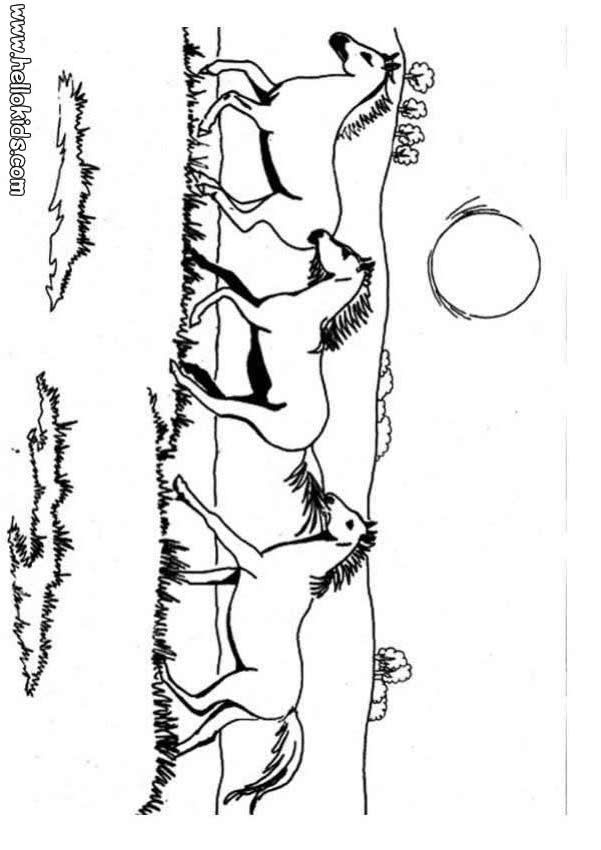 realistic horse coloring pages
