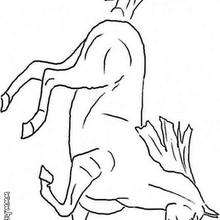 Galloping horse coloring page - Coloring page - ANIMAL coloring pages - FARM ANIMAL coloring pages - HORSE coloring pages - HORSES coloring pages