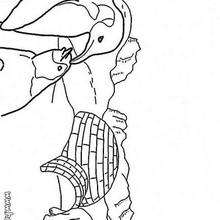 Ice floe coloring page