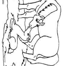 Big kiss coloring page