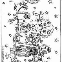 Owls coloring page - Coloring - Animal coloring pages - Bird coloring pages