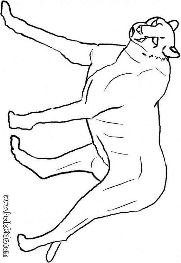 panther coloring pages - photo #4