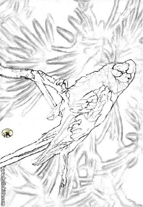 parrot_coloring page