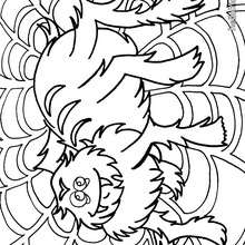 Spider coloring page
