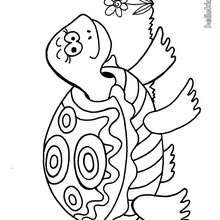 Turtle coloring page - Coloring - ANIMAL coloring pages - REPTILE coloring pages - TURTLE coloring pages