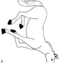 Walking horse coloring page - Coloring page - ANIMAL coloring pages - FARM ANIMAL coloring pages - HORSE coloring pages - HORSES coloring pages