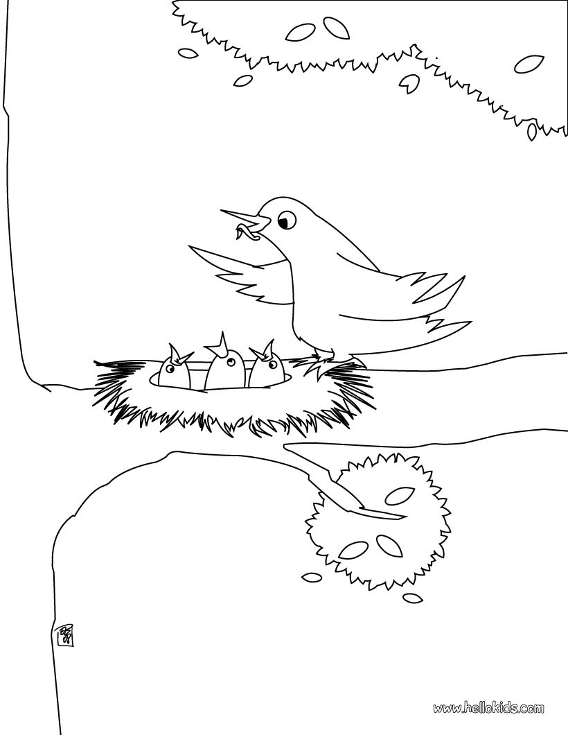 Bird nest coloring pages - Hellokids.com