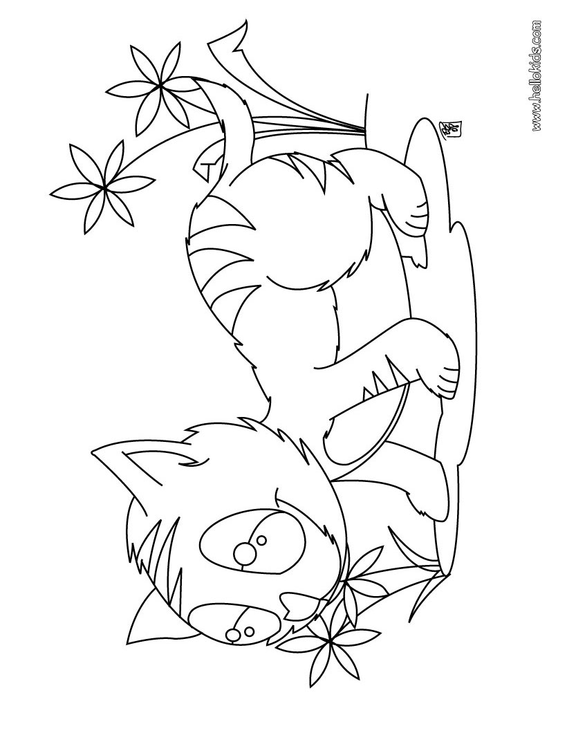 cat-coloring-page-05