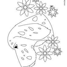 Dog Head coloring page - Coloring page - ANIMAL coloring pages - PET coloring pages - DOG coloring pages - Free DOG coloring pages